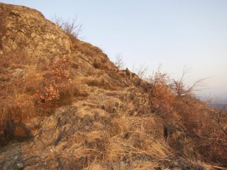 ambienti rocciosi