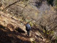 Blin nel traverso da Cugnone a Nivolastro