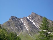 Gran Guglia