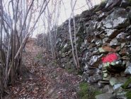  abbondanti tacche rosse 