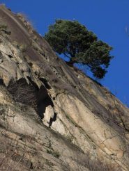 quando la natura ti lascia a bocca aperta