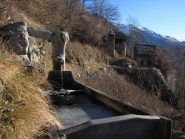 Perebella
