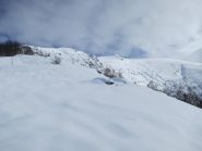 la costa fuori dal bosco