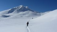 verso il fetita
