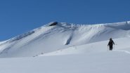verso il citrin
