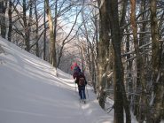 salendo al Panà dal Rif. orsi