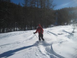 farina