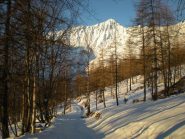 Dal Cournur vista sul Frioland