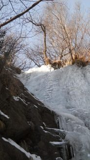 primo salto
