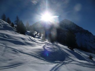 Controluce