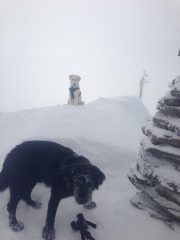 tutti in vetta tra le nuvole