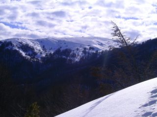 Monte Chiappo dalle stalle di Salogni