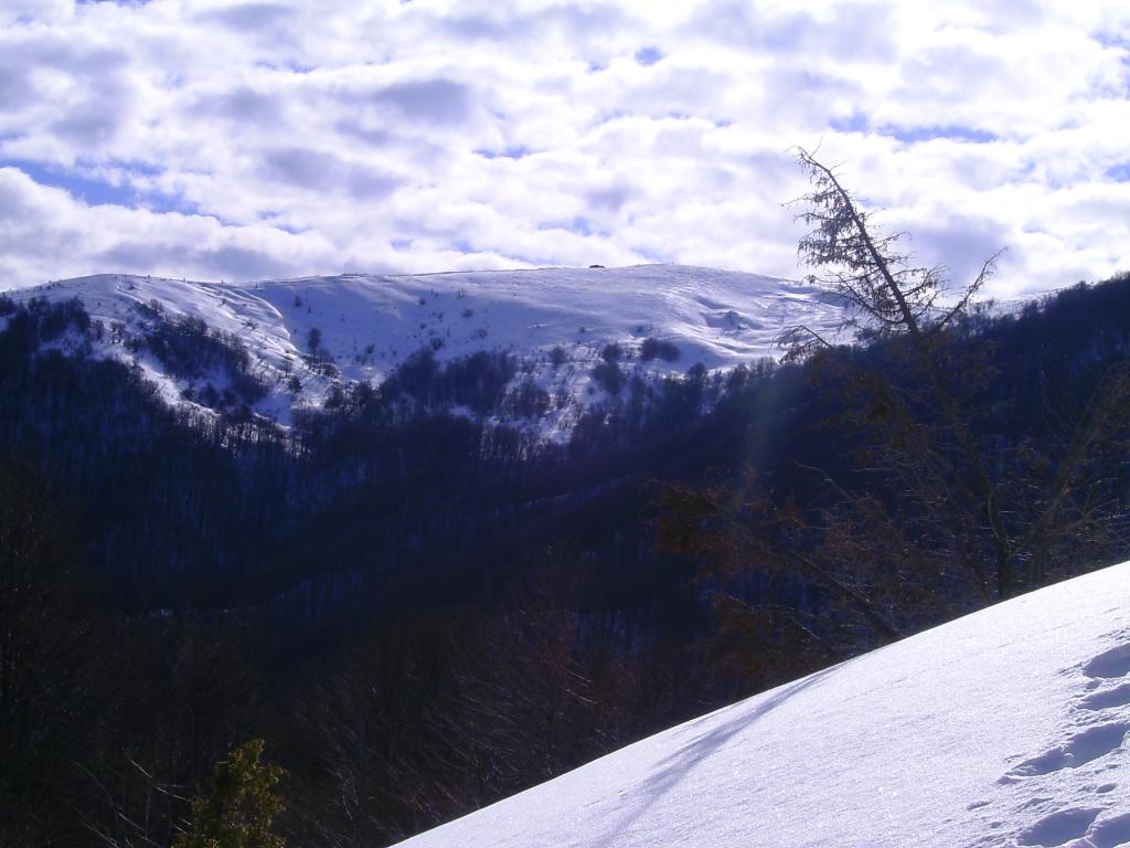 Monte Chiappo dalle stalle di Salogni