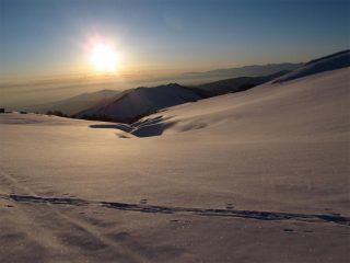 Alba