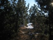 piloni verso la cappella del monte Calvo 