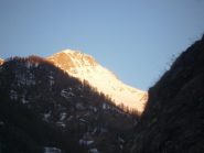 la nostra linea prende luce e colore