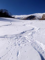 i prati sopra le borgate di Elva