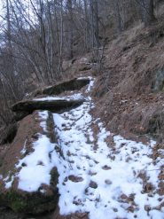 Inizio dell'antica mulattiera a quota 1215 circa