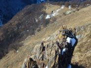 alpe Saudi dalla cresta