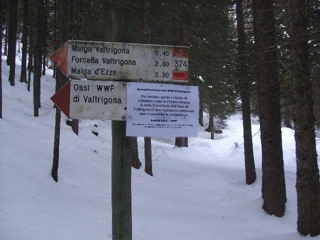 AVVISO