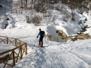 sulla stradina per l'Alpe di Rittana