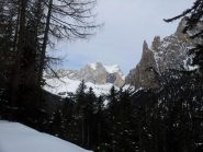 catinaccio dal bosco