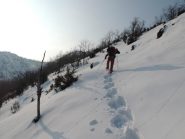 quasi sul crinale