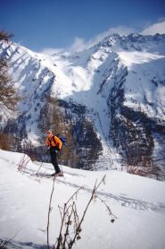Giannico sullo sfondo il col Champillon