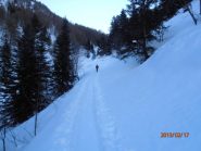 salendo nella parte bassa del bosco
