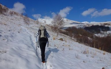 verso il colletto