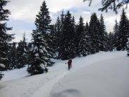 Da Malga Rolle sulla Translagorai