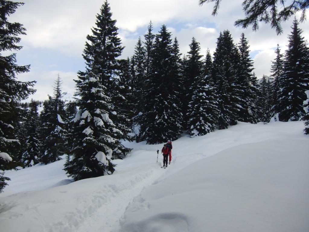Da Malga Rolle sulla Translagorai