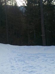 Si parte verso Corte