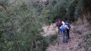 fra il bosco di Bosso