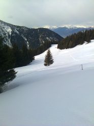 Tratto aperto tra i due boschi