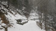 il sentiero che porta alla cascata