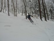 Nel bosco ritorna la visibiltà