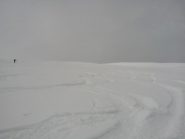 firme sul plateau