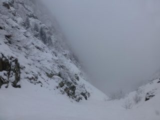 bianco ovunque