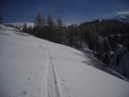 Il poco sole di questa mattina.... poi More... freddo !