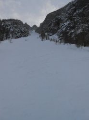 canale Micro Davin