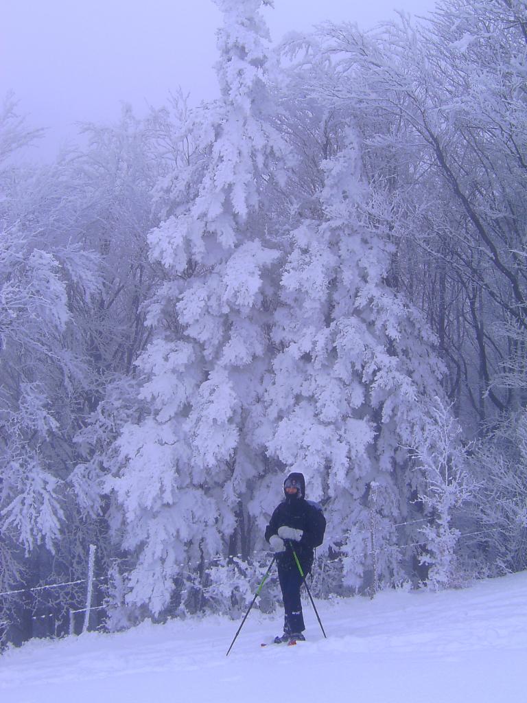 nei pressi del colle  