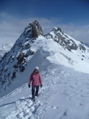 Forcella