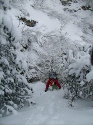  uscita in polvere ...per la Bea