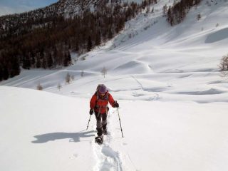 percorso fuori dal bosco