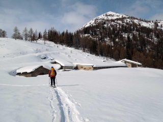 arrivo ad ars