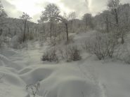 verso rastello