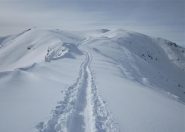 IL TRATTO INTERMEDIO