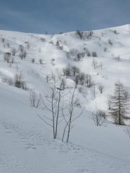 scendendo verso il colle di gilba