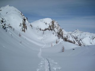 monte Bert